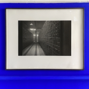 Shadow Archive V